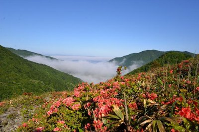 🏞️ 고레이비츠 고개(고레이비츠토게)
